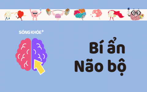 Con người đã sử dụng não hết công suất chưa, nếu có chuyện gì sẽ xảy ra?
